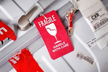 1604561235588_fragile2.jpg